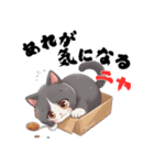 ちょっと辛口なニャンコの独り言（個別スタンプ：19）