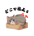 ちょっと辛口なニャンコの独り言（個別スタンプ：20）