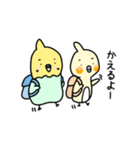 インコ3きょうだいの日常（個別スタンプ：31）