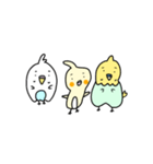 インコ3きょうだいの日常（個別スタンプ：33）