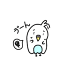 インコ3きょうだいの日常（個別スタンプ：34）