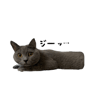 愛しのお猫（個別スタンプ：5）