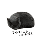 愛しのお猫（個別スタンプ：10）