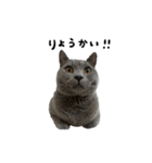 愛しのお猫（個別スタンプ：18）