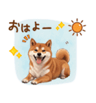 毎日使える♪豆柴のほっこりスタンプ（個別スタンプ：1）
