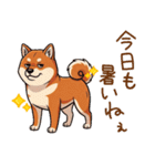 毎日使える♪豆柴のほっこりスタンプ（個別スタンプ：3）