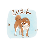 毎日使える♪豆柴のほっこりスタンプ（個別スタンプ：4）