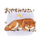 毎日使える♪豆柴のほっこりスタンプ（個別スタンプ：5）