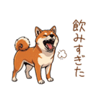 毎日使える♪豆柴のほっこりスタンプ（個別スタンプ：7）
