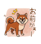 毎日使える♪豆柴のほっこりスタンプ（個別スタンプ：12）