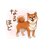 毎日使える♪豆柴のほっこりスタンプ（個別スタンプ：17）