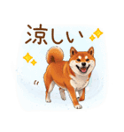 毎日使える♪豆柴のほっこりスタンプ（個別スタンプ：19）
