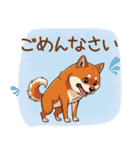 毎日使える♪豆柴のほっこりスタンプ（個別スタンプ：20）