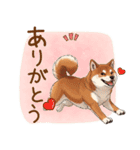 毎日使える♪豆柴のほっこりスタンプ（個別スタンプ：21）