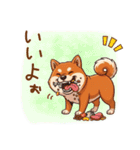 毎日使える♪豆柴のほっこりスタンプ（個別スタンプ：22）