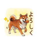 毎日使える♪豆柴のほっこりスタンプ（個別スタンプ：24）