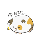 仲良しもるもる（個別スタンプ：2）