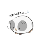 仲良しもるもる（個別スタンプ：11）
