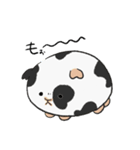 仲良しもるもる（個別スタンプ：25）