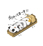 仲良しもるもる（個別スタンプ：29）