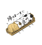 仲良しもるもる（個別スタンプ：30）