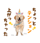 毎日使える！感情豊かで可愛いゴールデン（個別スタンプ：9）