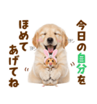毎日使える！感情豊かで可愛いゴールデン（個別スタンプ：18）