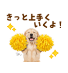 毎日使える！感情豊かで可愛いゴールデン（個別スタンプ：19）