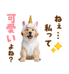毎日使える！感情豊かで可愛いゴールデン（個別スタンプ：37）