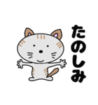 となりのミーコ【日常会話】（個別スタンプ：10）