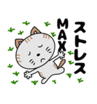 となりのミーコ【日常会話】（個別スタンプ：15）
