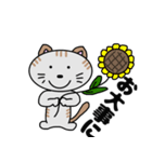 となりのミーコ【日常会話】（個別スタンプ：37）