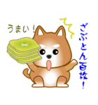 nobobi 柴わんこ（個別スタンプ：1）