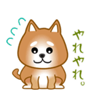 nobobi 柴わんこ（個別スタンプ：2）