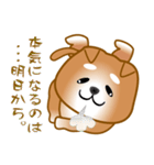 nobobi 柴わんこ（個別スタンプ：4）