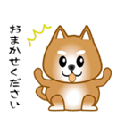 nobobi 柴わんこ（個別スタンプ：5）