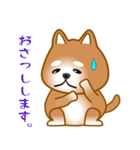 nobobi 柴わんこ（個別スタンプ：7）