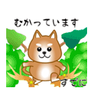 nobobi 柴わんこ（個別スタンプ：8）