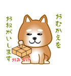 nobobi 柴わんこ（個別スタンプ：9）