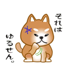 nobobi 柴わんこ（個別スタンプ：10）