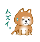 nobobi 柴わんこ（個別スタンプ：12）