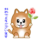 nobobi 柴わんこ（個別スタンプ：14）