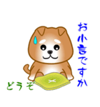 nobobi 柴わんこ（個別スタンプ：15）