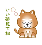 nobobi 柴わんこ（個別スタンプ：18）
