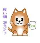 nobobi 柴わんこ（個別スタンプ：19）