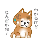 nobobi 柴わんこ（個別スタンプ：21）