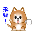 nobobi 柴わんこ（個別スタンプ：22）