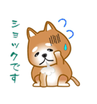 nobobi 柴わんこ（個別スタンプ：24）