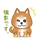 nobobi 柴わんこ（個別スタンプ：25）