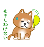 nobobi 柴わんこ（個別スタンプ：28）